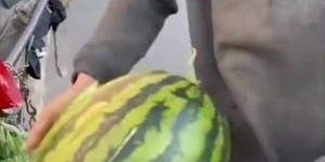如何在西瓜视频上学习手艺并实现赚钱？