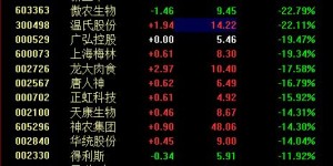 哪个生肖的男性在股市中盈利能力最强？