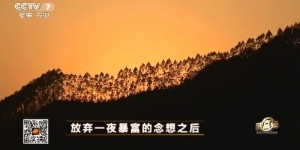 如何才能发现适合自己的赚钱之道，打造属于你的财富之路有哪些秘诀？