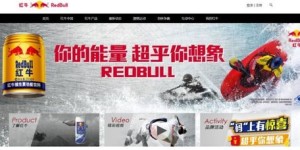 在中国经营猛禽生意，真的能盈利吗？