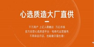 开店自营与招商合作，哪种模式更能带来丰厚收益？