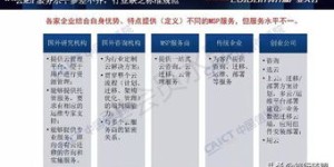 在中国通信领域，服务提供商的数量究竟有多少家？运营商格局如何展开？