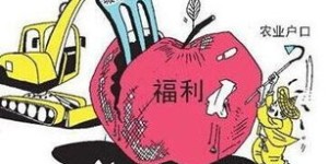 你知道农村有哪些热门的小副业可以选择吗？