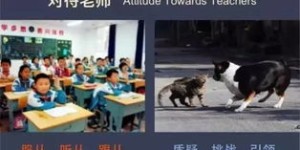 如何通过努力挣钱彻底改变现状？一张图引发的思考