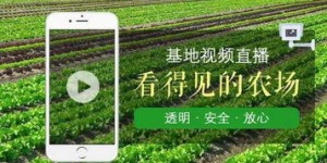 黄河农产品能否带来可观收益？值得一试吗？