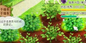 在大地里种植哪种作物最易获利？