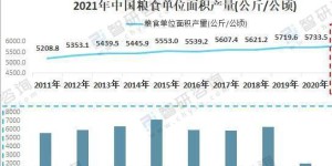 粮食价格上涨，投资者如何把握机会获利？