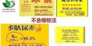 资生堂小作坊盈利状况如何？是否真的能赚钱？
