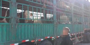 长春至东丰跑货车，真的能盈利吗？