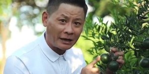 哪位明星跨界种菜，竟成隐形富豪？