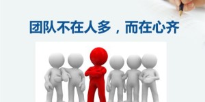 领航团队究竟依靠哪些途径实现盈利？