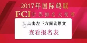 在北京，哪种副业更容易帮你找到理想伴侣？