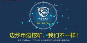 今年投资什么项目最有潜力盈利？