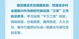 北方农村青年学什么技能能快速致富？
