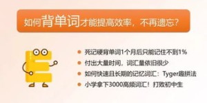 如何高效提升你的英语赚钱能力？掌握这些技巧了吗？