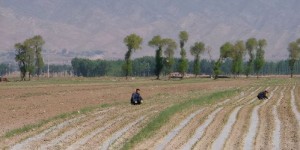 在农村回收哪些二手物品能带来可观收益？