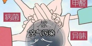 想要开展宠物毛毯副业，有哪些可行方向和盈利模式？