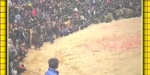 农村明星办演唱会，真的能赚大钱吗？