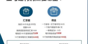 亚马逊平台为何能带来丰厚收益？你了解其中的盈利秘诀吗？