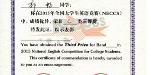 教资证书对大学生而言有何独特价值？它能带来哪些显著的实际优势？