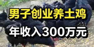 养土鸡创业，哪种生意模式最赚钱？