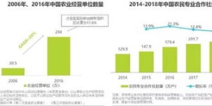 如何在货运平台上高效接单实现盈利？