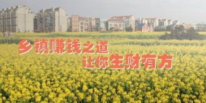 一亩田能做哪些生意更赚钱？农业创业点子大探讨
