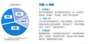 如何在拼多多补贴政策下实现盈利？