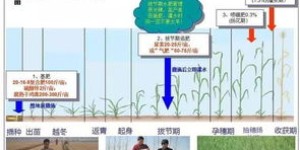 农村文艺人如何找到高收益的赚钱途径？