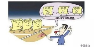 如何选择适合社会发展的副业？推荐指南帮你解惑