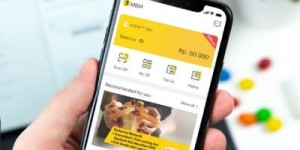 如何利用旧版APP打造高效赚钱的养鸡场？
