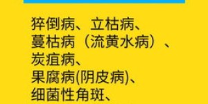 摩托车副业如何开启？新手入门必问的几个关键问题