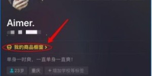 如何在抖音拍档唱歌中实现盈利？有哪些有效方法？