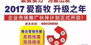 想要成功赚钱，需要满足哪些关键条件呢？