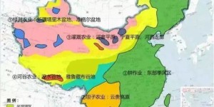 在四川地区种植哪种作物最赚钱？土地收益指南解析