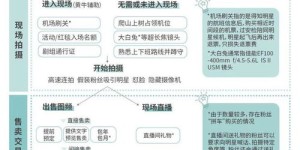 代拍行业真的能赚钱吗？揭开代拍背后的盈利真相