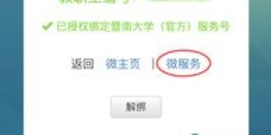 QQ平台也能自助服务？揭秘业余爱好者的专属自助平台是怎样的体验？