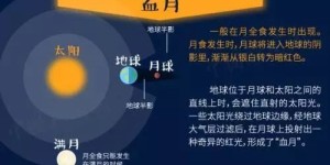 Wennet的自助平台究竟位于何处？探索其实际位置与使用指南
