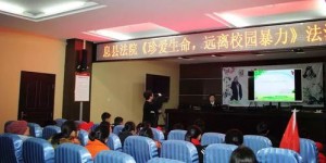 东河法院推出的自助诉讼平台，你了解它的功能和优势吗？