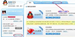 QQ空间业务自助平台，打造无悔社区体验，究竟有哪些独家功能？