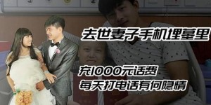 夫人为何再次兼职下载小说？背后有何隐情？
