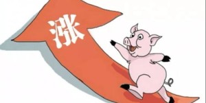 卖猪肉为何不注水以增加利润？