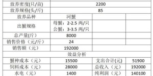 如何通过150元实现高效盈利？你也能做到吗？