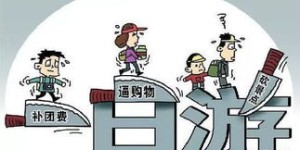 如何策划副业旅游团购，实现低成本高回报的旅行体验？