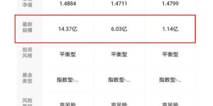 山上养殖哪种牛更易盈利？选择对了收益翻倍！