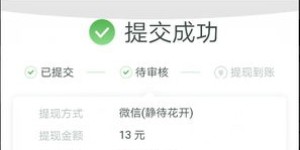 女生服用药丸真的能实现赚钱效果吗？真相探讨
