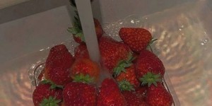 如何利用创意文案实现边赚钱边享受美味草莓？