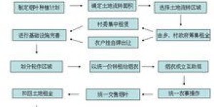 农村土地流转如何实现盈利？有哪些赚钱途径？