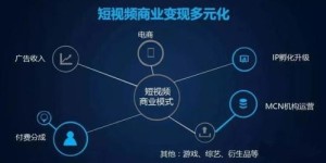 如何在同领域视频领域实现盈利？刷视频赚钱的实用技巧