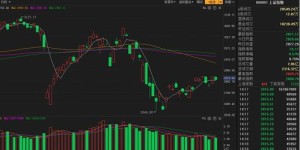 基金盈利后为何选择减仓？背后的策略是什么？